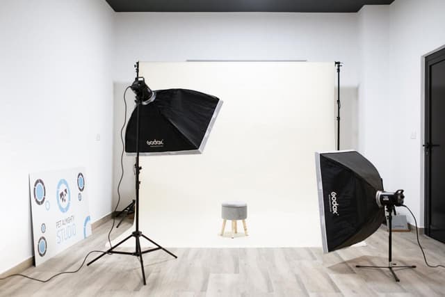 Pet Almighty Studio
